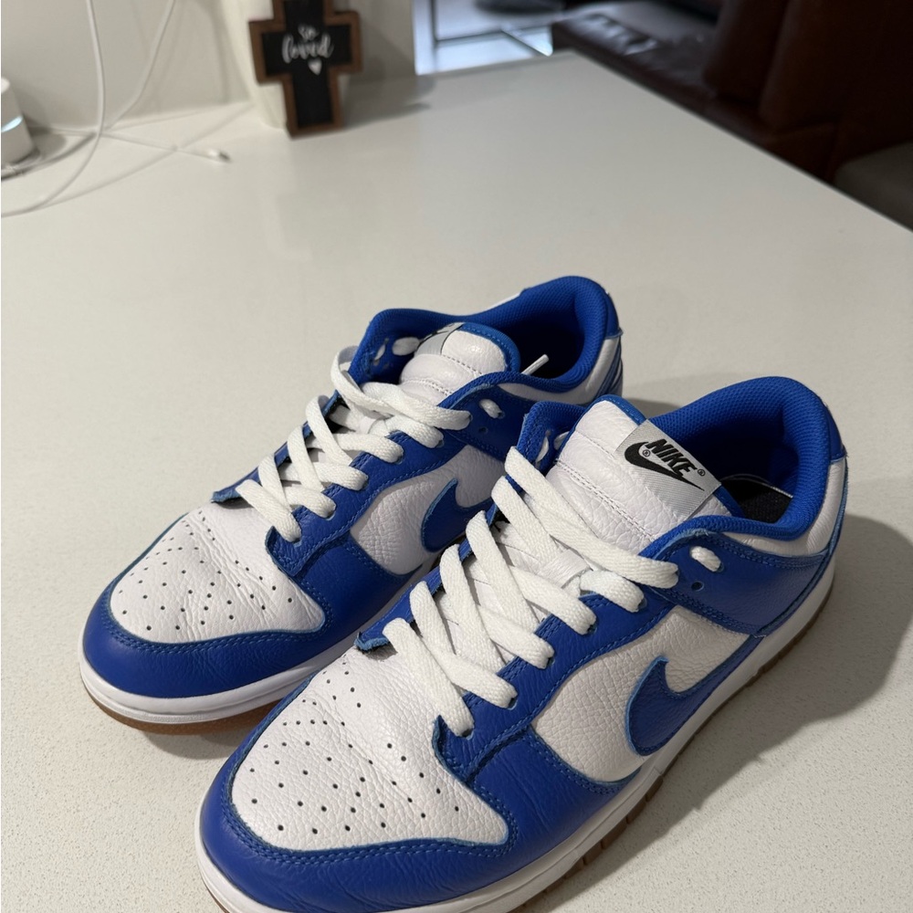 Nike DUNKS